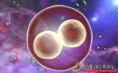 第三代試管嬰兒,中雙胞胎的機率有多大(圖3)