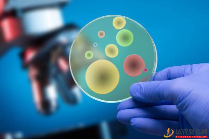 詳細(xì)解答第三代試管嬰兒需要多少錢(圖4) 詳細(xì)解答第三代試管嬰兒需要多少錢(圖4)