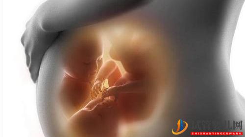 全球雙胞胎出生率創歷史新高，每42個新生兒中就有一對雙胞胎(圖1)