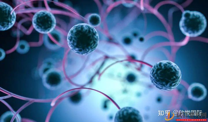 做試管嬰兒能100%取得成功嗎(圖3)