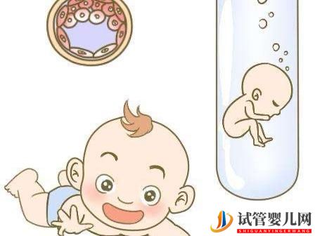 試管嬰兒主要有哪些過程？(圖1)