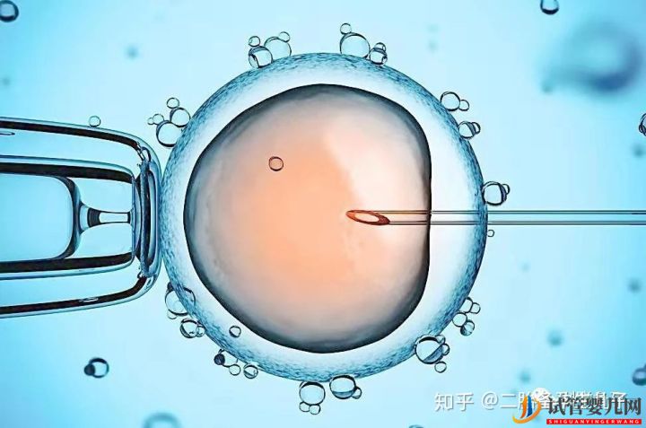 試管嬰兒的壽命跟正常孩一樣嗎答案讓你意外!(試管嬰兒費(fèi)用大概要多少錢)(圖4) 試管嬰兒的壽命跟正常孩一樣嗎答案讓你意外!(圖2)