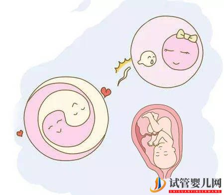 試管移植后，怎樣保胎才科學？(圖1)