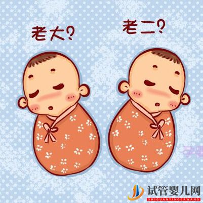 俄羅斯試管嬰兒雙胞胎寶寶為什么長得不一樣(圖1)