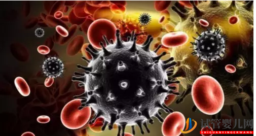 艾滋病患者是怎么做泰國試管嬰兒來避免孩子感染(圖2) 艾滋病患者是怎么做泰國試管嬰兒來避免孩子感染(圖2)