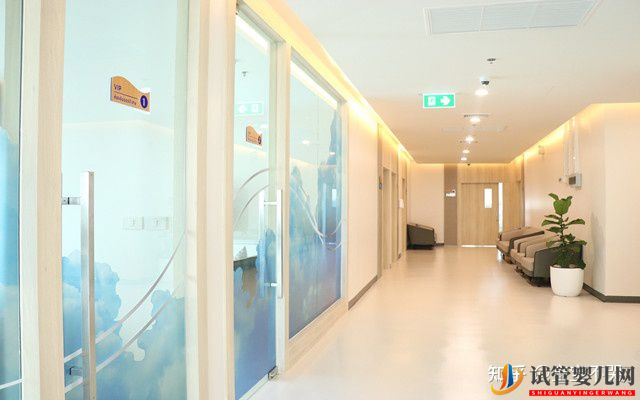 去泰國做第三代試管嬰兒有哪些優(yōu)勢呢(圖1) 去泰國做第三代試管嬰兒有哪些優(yōu)勢呢(圖1)