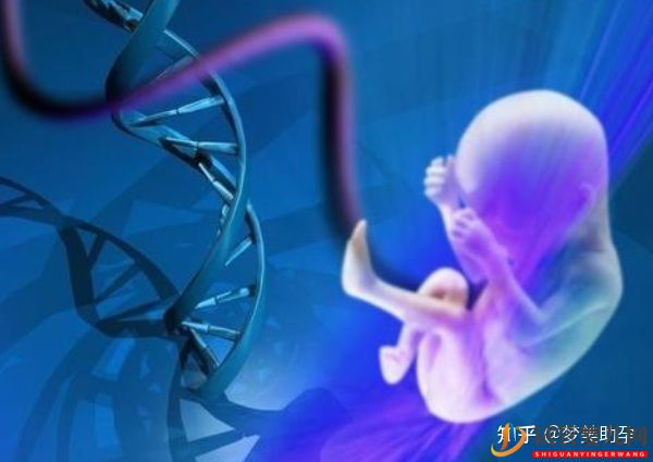 美國試管嬰兒的四大獨特優勢(圖5)