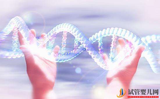 試管嬰兒會對女性身體產生影響嗎？(圖1)