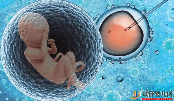 赴美試管前行程安排與美國試管嬰兒的步驟流程詳解(圖3) 赴美試管前行程安排與美國試管嬰兒的步驟流程詳解(圖2)