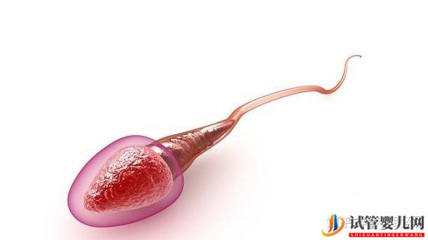 赴美試管前行程安排與美國試管嬰兒的步驟流程詳解(圖13) 赴美試管前行程安排與美國試管嬰兒的步驟流程詳解(圖7)