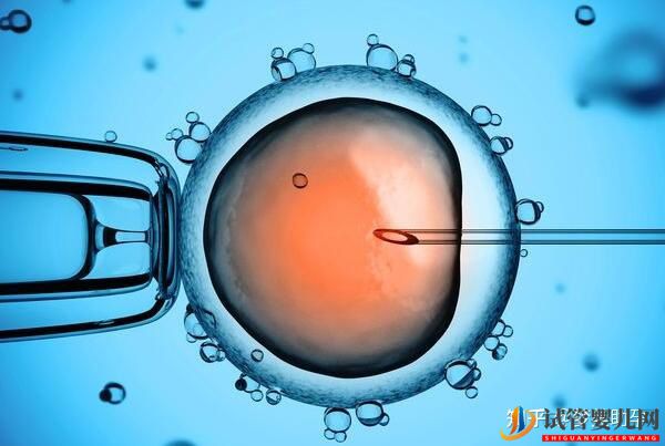 赴美試管前行程安排與美國試管嬰兒的步驟流程詳解(圖15) 赴美試管前行程安排與美國試管嬰兒的步驟流程詳解(圖8)