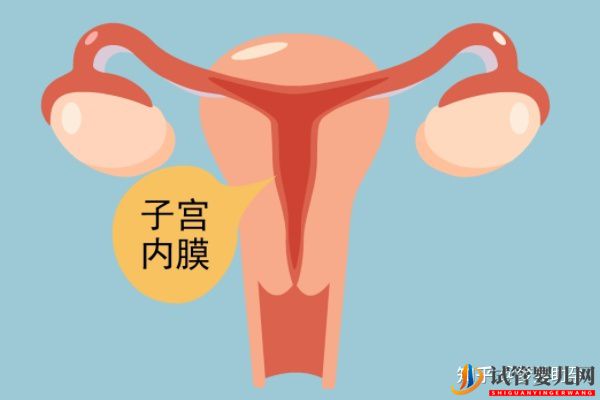 赴美試管前行程安排與美國試管嬰兒的步驟流程詳解(圖21) 赴美試管前行程安排與美國試管嬰兒的步驟流程詳解(圖11)