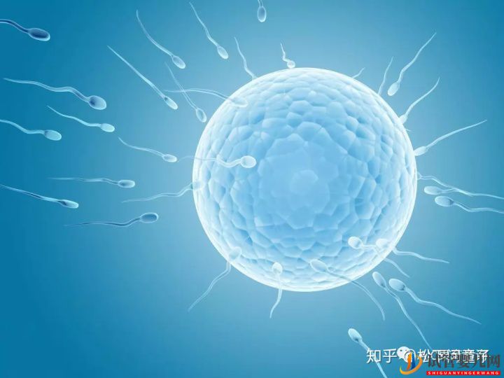 關于美國試管嬰兒技術的問題一網打盡(試管嬰兒多少錢)(圖1) 關于美國試管嬰兒技術的問題一網打盡(圖1)