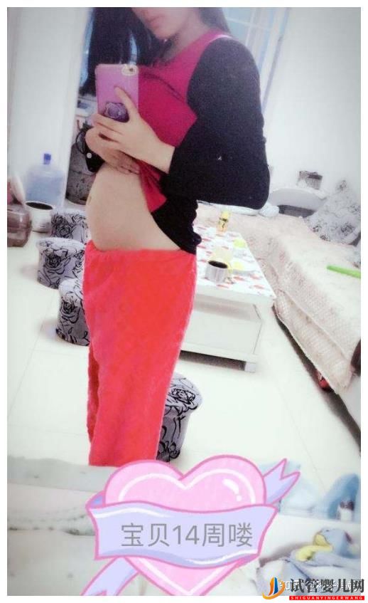 赴美國做試管嬰兒能取得成功嗎(圖3)