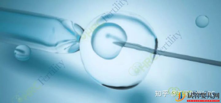 要去美國看病別怕!小C帶您全面了解美國試管嬰兒...(試管嬰兒多少錢)(圖53) 要去美國看病別怕!小C帶您全面了解美國試管嬰兒(圖14)