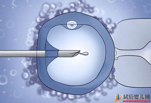 赴美試管嬰兒整個過程需要多長時間(圖6)
