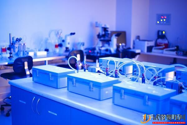 赴美試管嬰兒的成功率有多少呢-夢美(試管嬰兒多少錢)(圖16) 赴美試管嬰兒的成功率有多少呢(圖8)