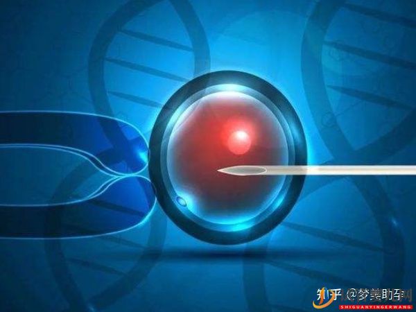 赴美試管嬰兒要經歷哪些流程呢-夢美(試管嬰兒多少錢)(圖18) 赴美試管嬰兒要經歷哪些流程呢(圖9)