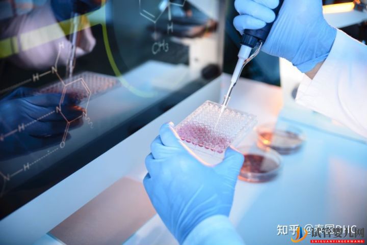 泰國(guó)試管嬰兒?jiǎn)紊砼院戏▎?圖6) 泰國(guó)試管嬰兒?jiǎn)紊砼院戏▎?圖6)