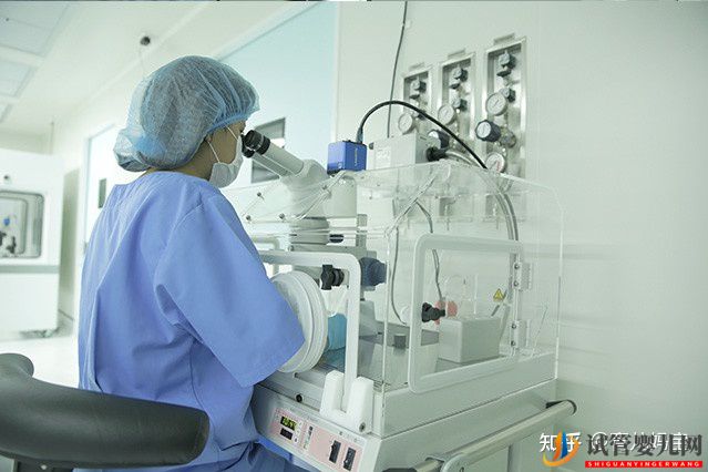 泰國試管嬰兒技術排卵排名(圖3)