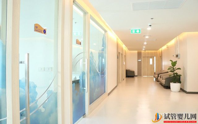 泰國(guó)試管嬰兒一次需要多少錢(圖2) 泰國(guó)試管嬰兒一次需要多少錢(圖2)