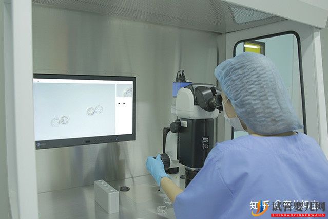 泰國試管嬰兒移植正規嗎(圖2)