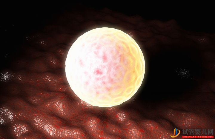 泰國試管嬰兒優(yōu)勢性價比再高,成功率卻離不開這(圖1)