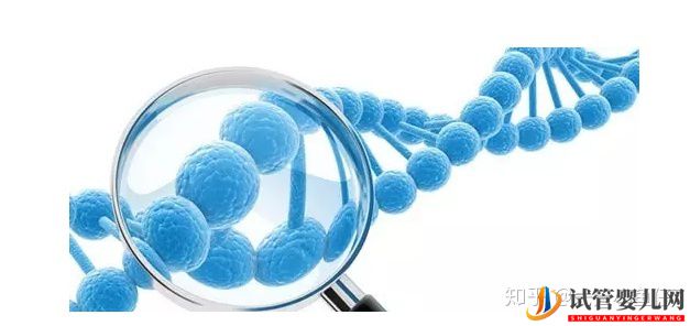 備受歡迎的泰國試管嬰兒,這四大技術優(yōu)勢你還不知道(圖1)