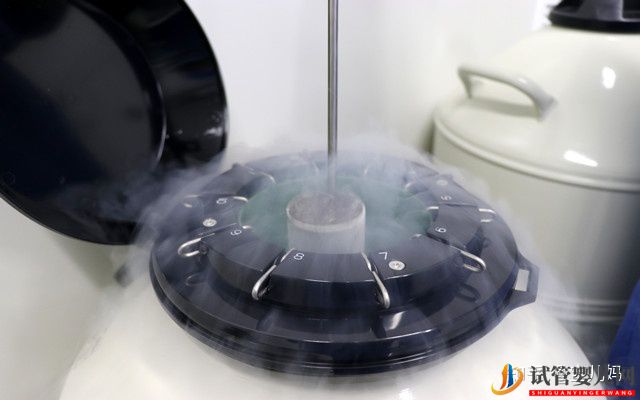 第三代泰國試管成功率分析(圖4) 第三代泰國試管成功率分析(圖2)