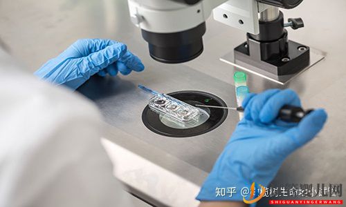 國內外第三代試管嬰兒的區別(試管嬰兒費用大概要多少錢)(圖1) 國內外第三代試管嬰兒的區別(圖1)