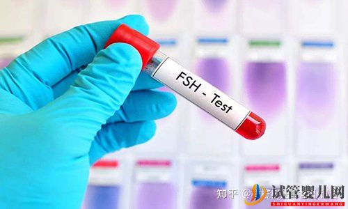 國內外第三代試管嬰兒的區別(試管嬰兒費用大概要多少錢)(圖7) 國內外第三代試管嬰兒的區別(圖4)