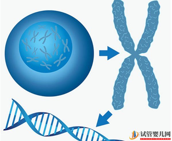 大齡女性去美國試管嬰兒成功率高嗎(試管嬰兒多少錢)(圖13) 大齡女性去美國試管嬰兒成功率高嗎(圖7)