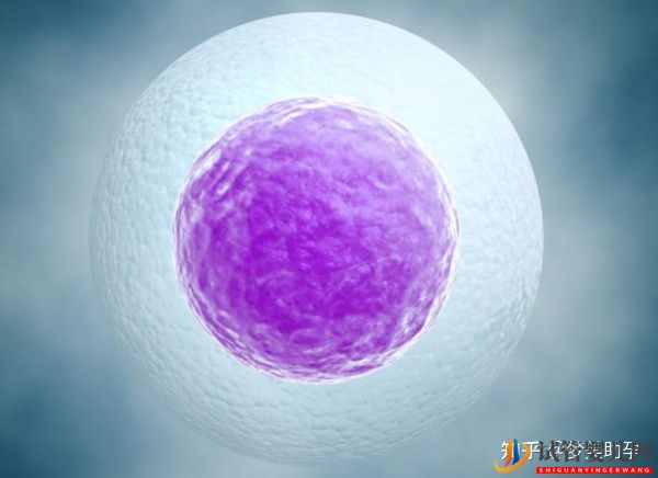 大齡女性去美國試管嬰兒成功率高嗎(試管嬰兒多少錢)(圖11) 大齡女性去美國試管嬰兒成功率高嗎(圖6)