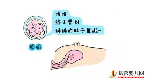 泰國試管嬰兒流程詳細分享!(圖3)