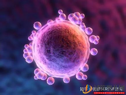 不看會(huì)后悔!五大優(yōu)勢(shì)告訴你美國(guó)試管嬰兒為何倍受青睞(圖2)