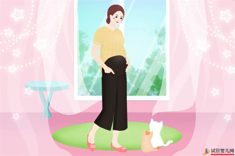 試管嬰兒助孕前的注意事項(圖1)