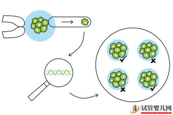 美國試管嬰兒專家如何避免胎停育的發(fā)生(試管嬰兒多少錢)(圖3) 美國試管嬰兒專家如何避免胎停育的發(fā)生(圖2)