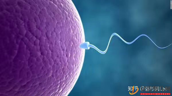 美國試管助孕可以挑選性別嗎(圖1)