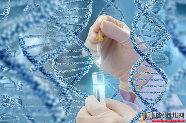 美國試管嬰兒技術正解-常見的4個問題解讀(圖4)