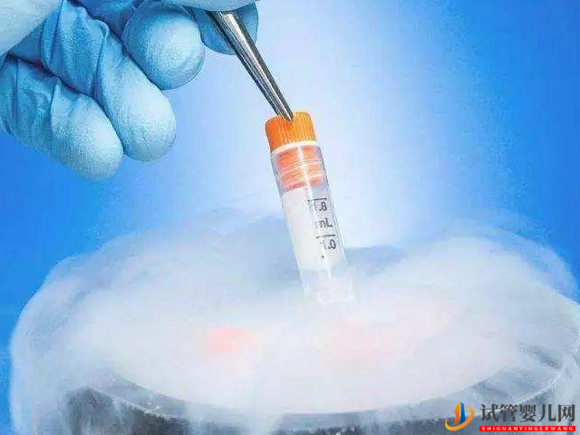 日本凍卵最好的醫院需要花多少錢？(圖1)