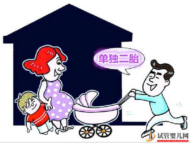 合肥單獨二胎辦理流程和材料是怎樣的？(圖1)