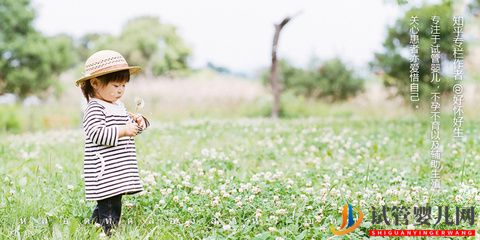 試管嬰兒是怎么出生(圖1)