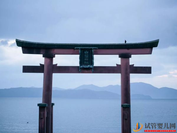 日本英醫(yī)院做試管的詳情收費(fèi)，明細(xì)都在這兒！(圖2)