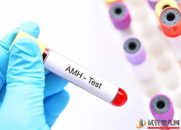AMH0.04試管懷孕幾率只有這么多，調(diào)理卵泡發(fā)育或許有希望(圖1)