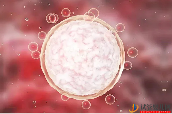 AMH0.04試管懷孕幾率只有這么多，調(diào)理卵泡發(fā)育或許有希望(圖2)