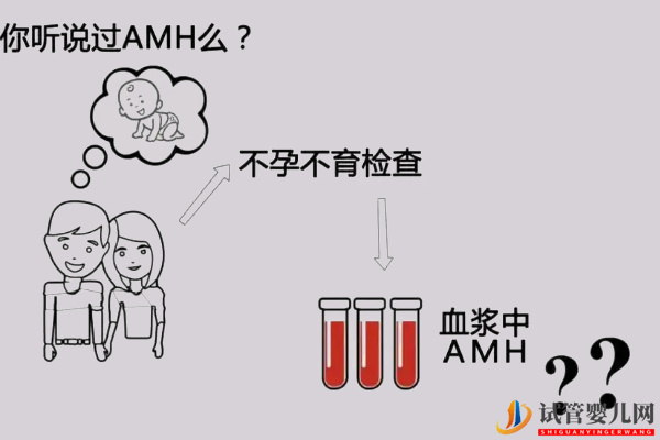 amh0.11想懷孕要看有多少卵泡(圖2)