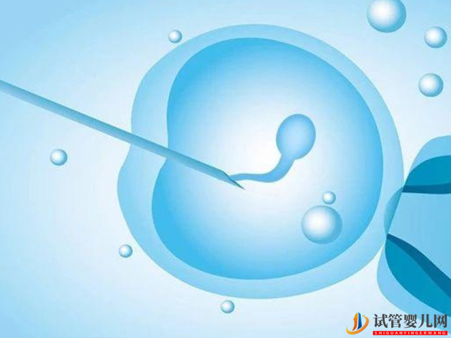 彩虹家庭怎么生小女孩？(圖1)