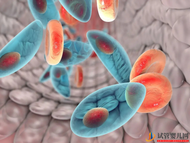 優生優育十項檢查項目匯總(圖2) 優生優育十項檢查項目匯總(圖2)