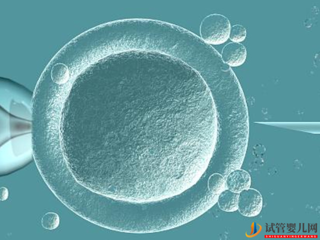 子宮肌瘤做三代試管的成功率有沒有40%？(圖1)