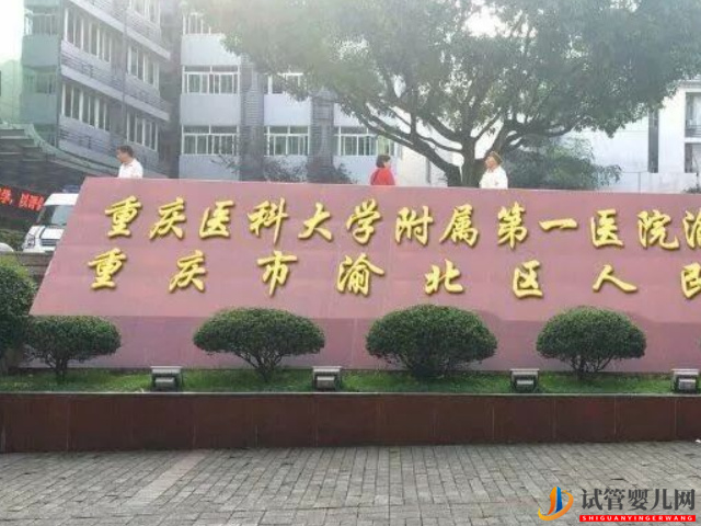 重醫附一院試管嬰兒費用明細及成功率參考指南(圖1)